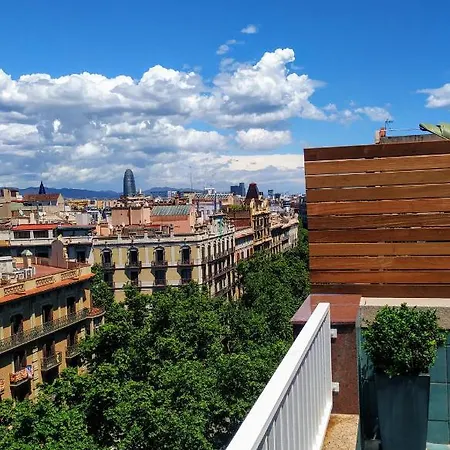 Elegant Olle برشلونة